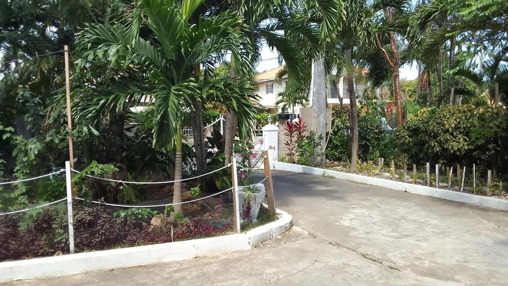 Penzion The Dream Nest At Csompo Silver Manor Saint Maryʼs